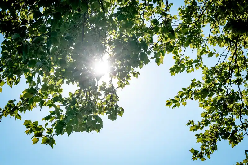 Zomerse start van de week, maar buien en lagere temperaturen onderweg