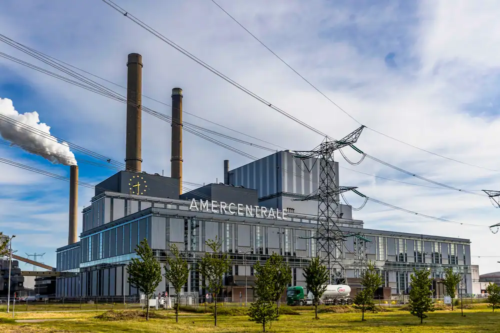 Politie onderzoekt RWE om mogelijk illegaal hout voor Amercentrale