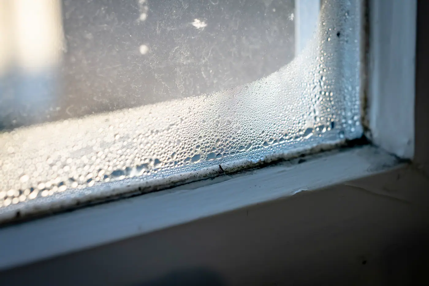 Thuisbatterij, tocht in huis of energie besparen? Oosterhout helpt inwoners op weg